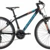 Lapierre ProRace 24" Boy -Vélos complets Soldes prorace 24 boy 22